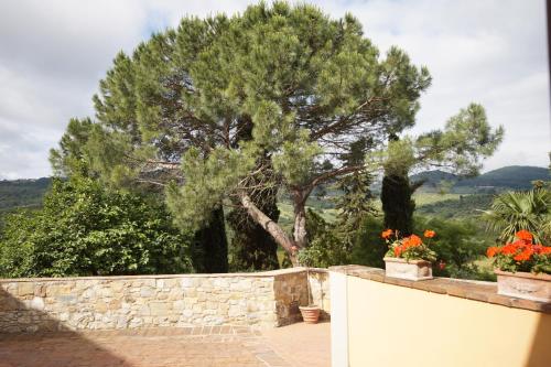 Villa Guarnaschelli - image 7