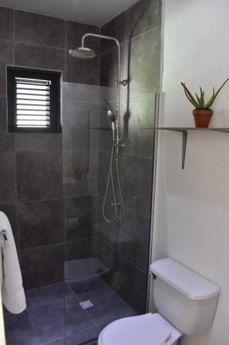 Deluxe Studio in Oranjestad