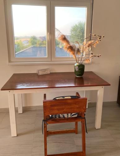 베오그라드 Airport Art Villa 2성급 싱글룸 전망