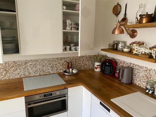 Apartments Loket No 59 se zahradou in Loket