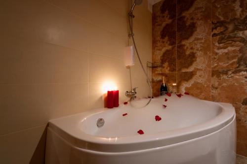 Daugava rrlux Duplex Penthouse free parking, Riga (foto 11)