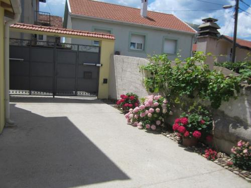 Aurelia B&B - image 7