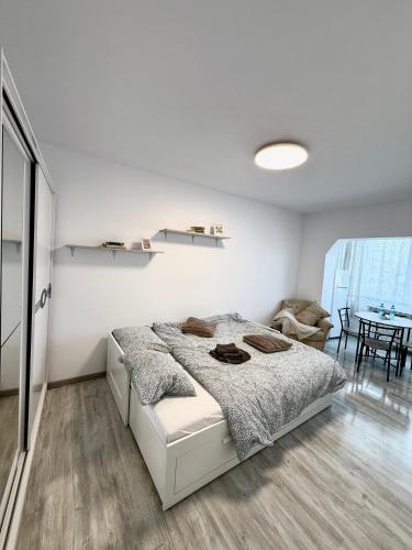 Modern Studio, Fălticeni (zdjęcie 2)