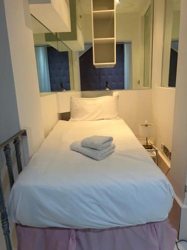 Luxury Hampstead Garden Apartment, Londra (foto 2)
