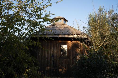 Tinyhouse Hexagonal in Organic Farm in Morelinho