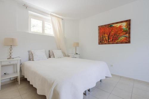 2 room apartment, free parking and wifi, Ginebra (foto 4)
