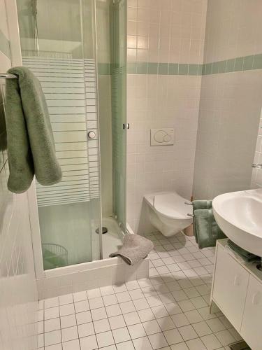 2 room apartment, free parking and wifi, Ginebra (foto 8)
