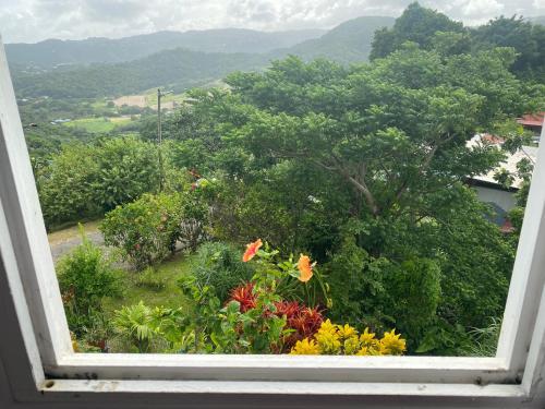 Le cocon de Cathy in Riviere-Pilote