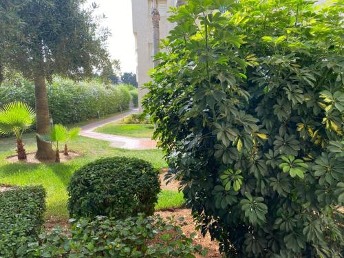 Comfortable & Well-Located Apartment Near Rabat, Oulad Akkou (foto 4)