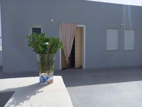 Rayhane in Ech-Chergui