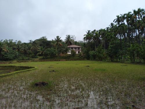 Gubbikanta Homestay in Banumane