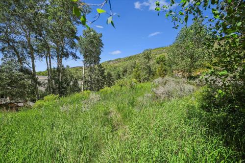 Hamilton Creek Cabin home in Silverthorne, USA