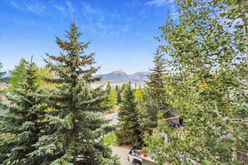 Bella Vista townhouse in Dillon, USA