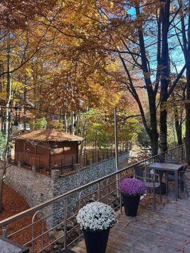 Bonvillas Riverside Apartments - Large Terrace With Forest View - Brezovica in เปรวัลเล