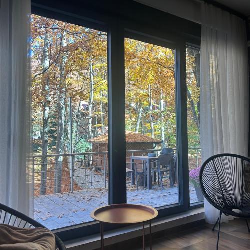 Bonvillas Riverside Apartments - Large Terrace With Forest View - Brezovica in เปรวัลเล