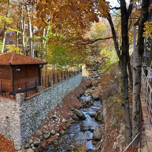 Bonvillas Riverside Apartments - Large Terrace With Forest View - Brezovica in เปรวัลเล