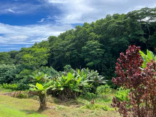 Atiu Kia Orana Bungalows in Atiu
