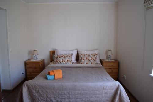 Embrace Apartments
