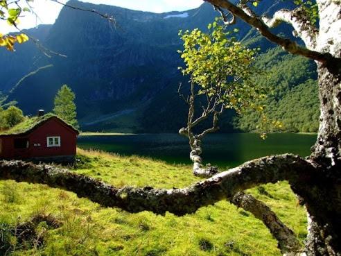 Спорт та розваги, Stall Rygg Mountain Cottage, Gloppen in Сандейн
