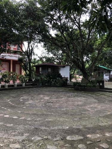 Garden, Bernice's Place in Pulilan