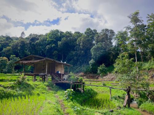 Chibacall ชิบะคอล Karen Mountains Hideaway Homestay Chiang Mai