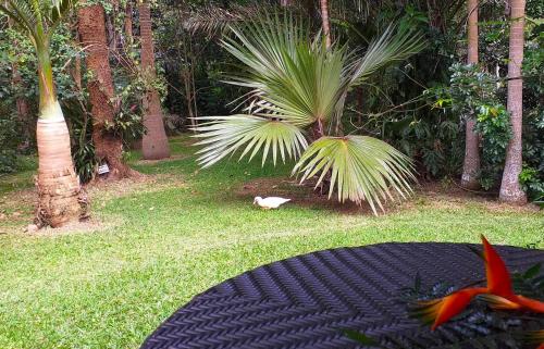 גינה, Au Mont Mou chez So et Chris in Paita