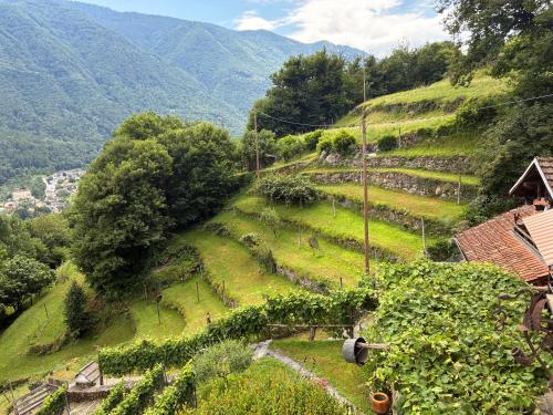 Casa immersa nel vigneto in Roveredo