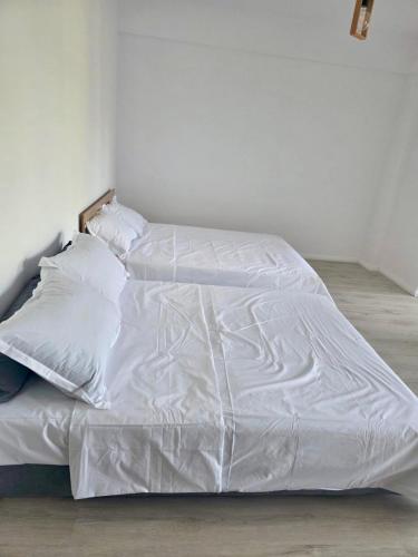 Eva Studio, Văleni (foto 3)