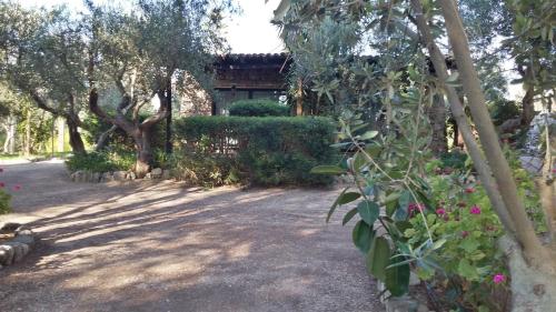 Tenuta Terenzano
