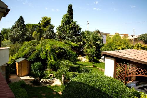 B&B Il Mandorlo - image 4