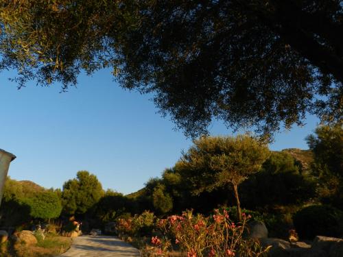  Donnigheddu in Rudalza