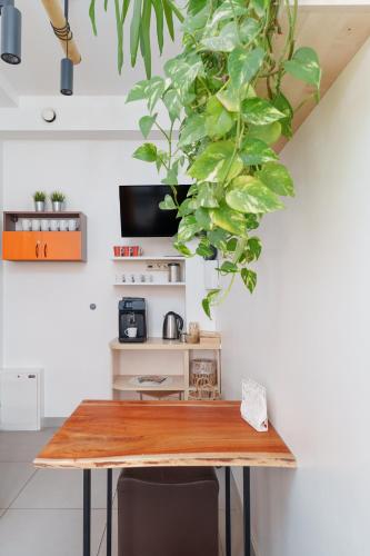 Arcus Premium Hostel - image 13