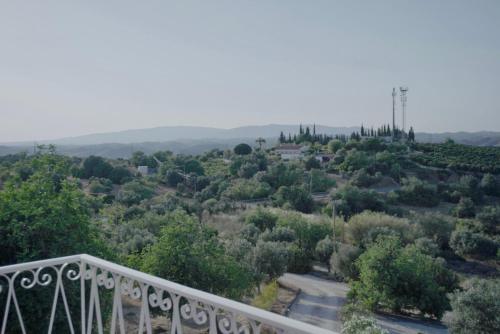 สภาพแวดล้อมโดยรอบ, Villa Madeira in เมเดย์โรส