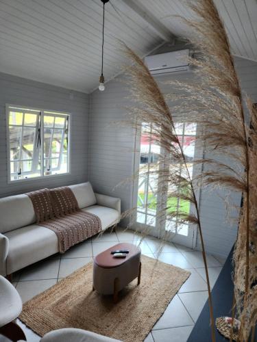 Luxury Villa close to lake and sea in Morro das Pedras
