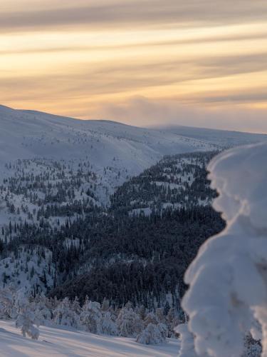 Slopeside Luppo - Private Sauna, Ski 100m - Valkea Homes, Pyhätunturi (Foto 7)