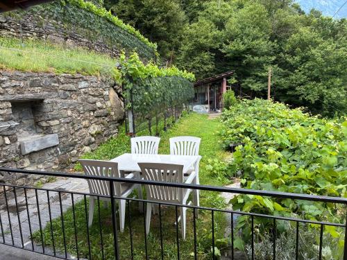 Casa immersa nel vigneto in Roveredo