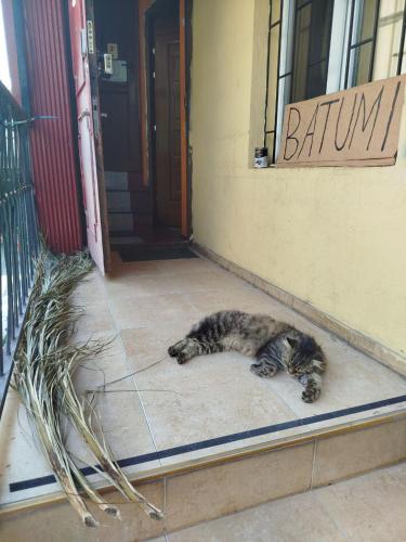 Harmony Hostel in บาตูมี