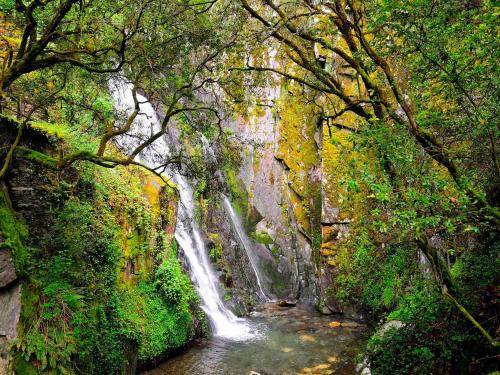 Villa Montês - Exclusive Apartments & Prime Location - Coja