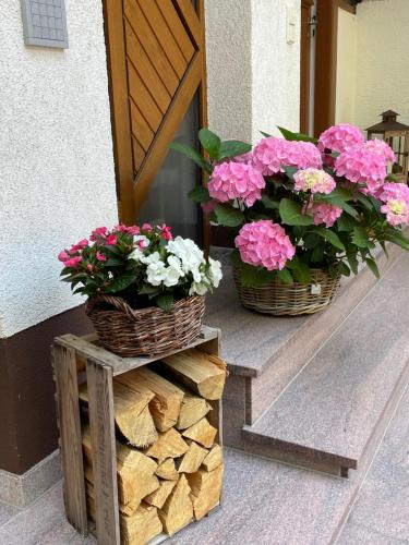 Haus am Kastanienwald