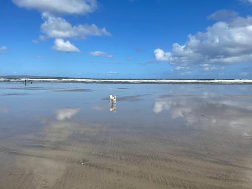 Atlantic View Cottage in เอียสกี