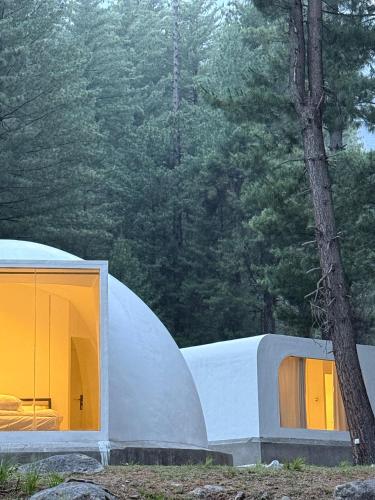 The Woodpecker - Glamps & Resorts, Tāl (photo 8)