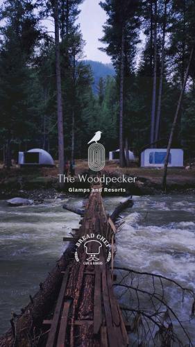 The Woodpecker - Glamps & Resorts, Tāl (photo 3)