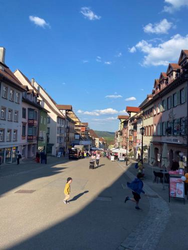 Gemütliche Wohnung bei Rottweil - Stadt der Türme (Gemutliche Wohnung bei Rottweil - Stadt der Turme) in Deisslingen