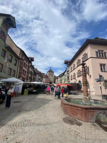 Gemütliche Wohnung bei Rottweil - Stadt der Türme (Gemutliche Wohnung bei Rottweil - Stadt der Turme) in 戴斯林根