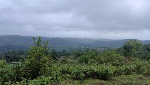 Kilátás, Saketa Homestay in Jog Falls