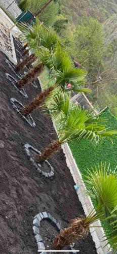 The Secret Garden in Ljubanishta