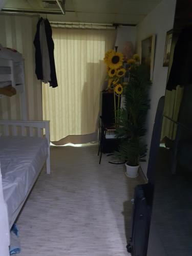 Blessed Rest -house, Sabkhah (foto 2)