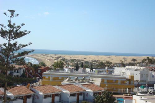 Los Cactus - image 10
