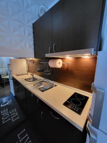 مطبخ, Sunny View SP apartments in وسط مدينة نيسبار