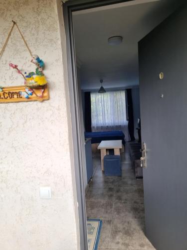 Apartments With Balcony And Mountain View in Borjomi